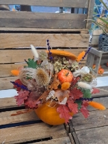 Florist Choice